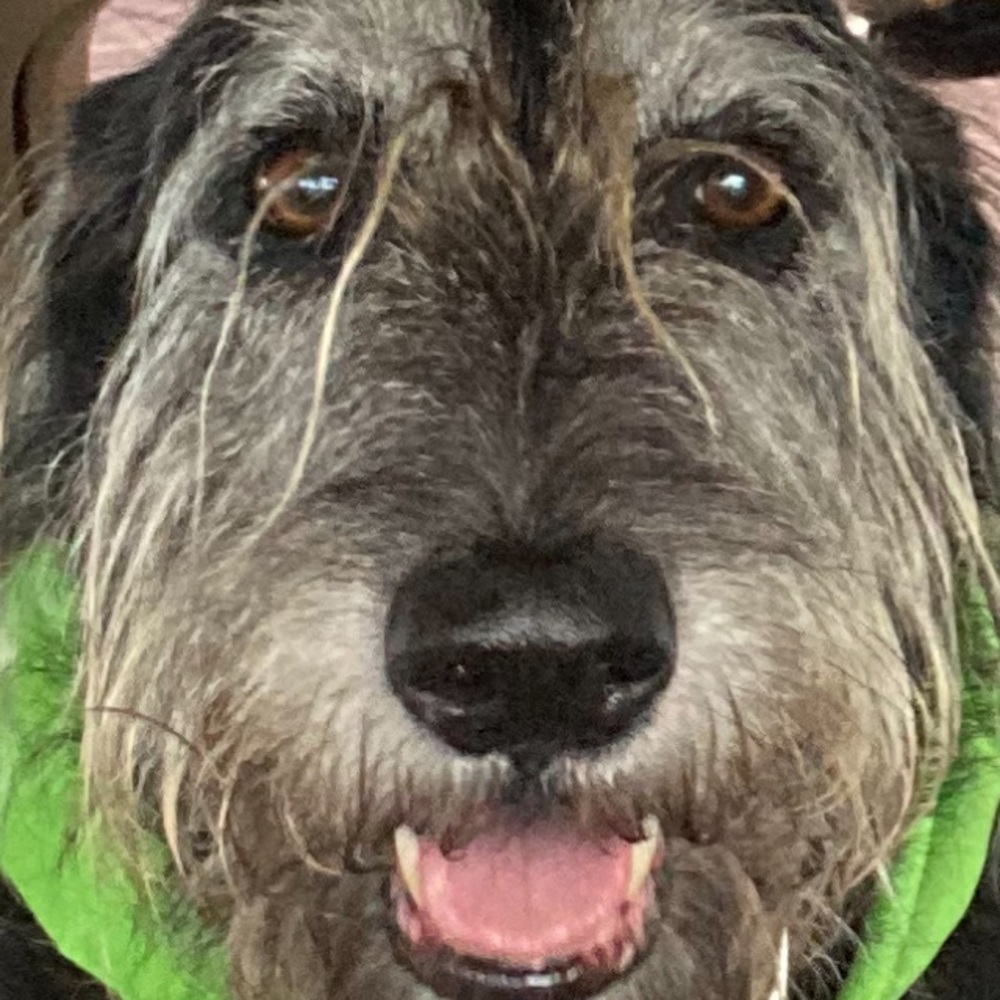 Meet your Posher, Linda